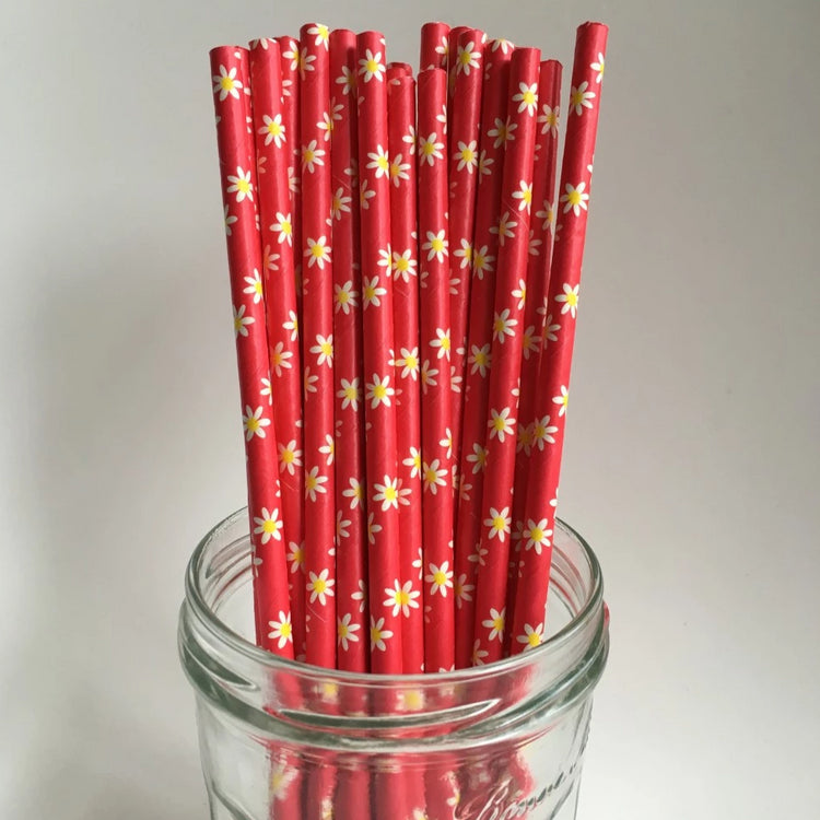 Papieren rietjes (25x) - Rood met bloemetjes - RietjesFabriek