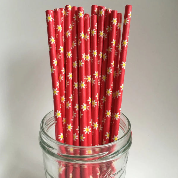 Papieren rietjes (25x) - Rood met bloemetjes - RietjesFabriek